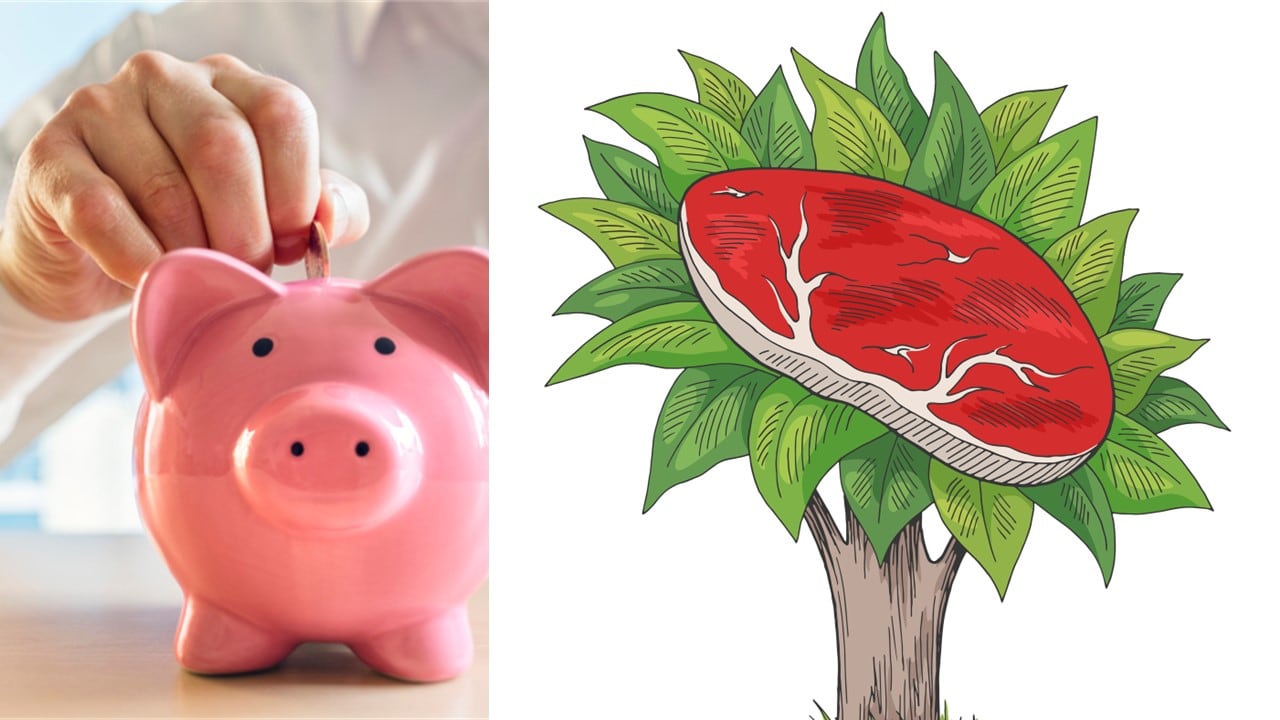 ‘There’s going to be a lot of burnt capital…’ Navigating the ‘hand-wringing phase’ of alt meat investment