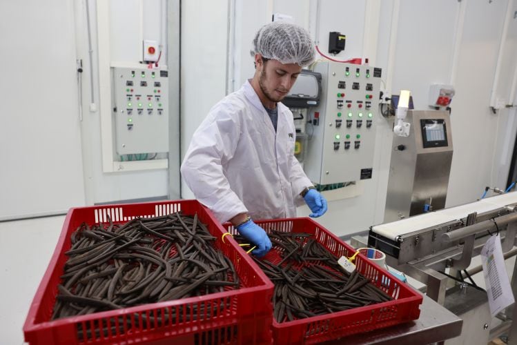 Vanilla-Vida-curing-room.jpg