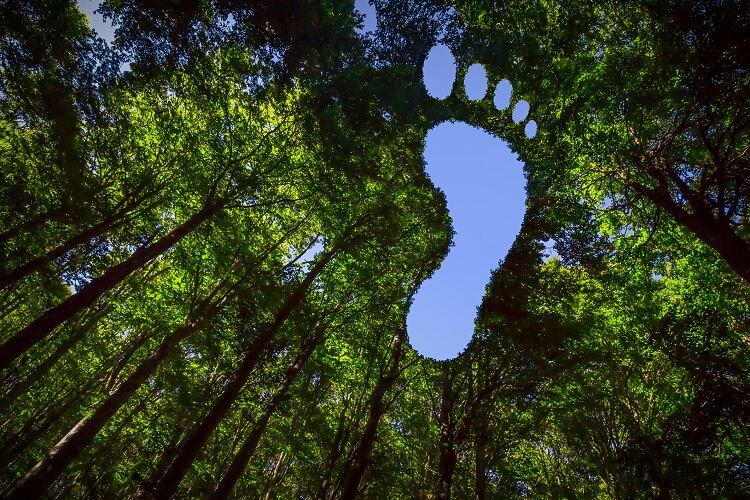 footprint-JM_Image_Factory.jpg