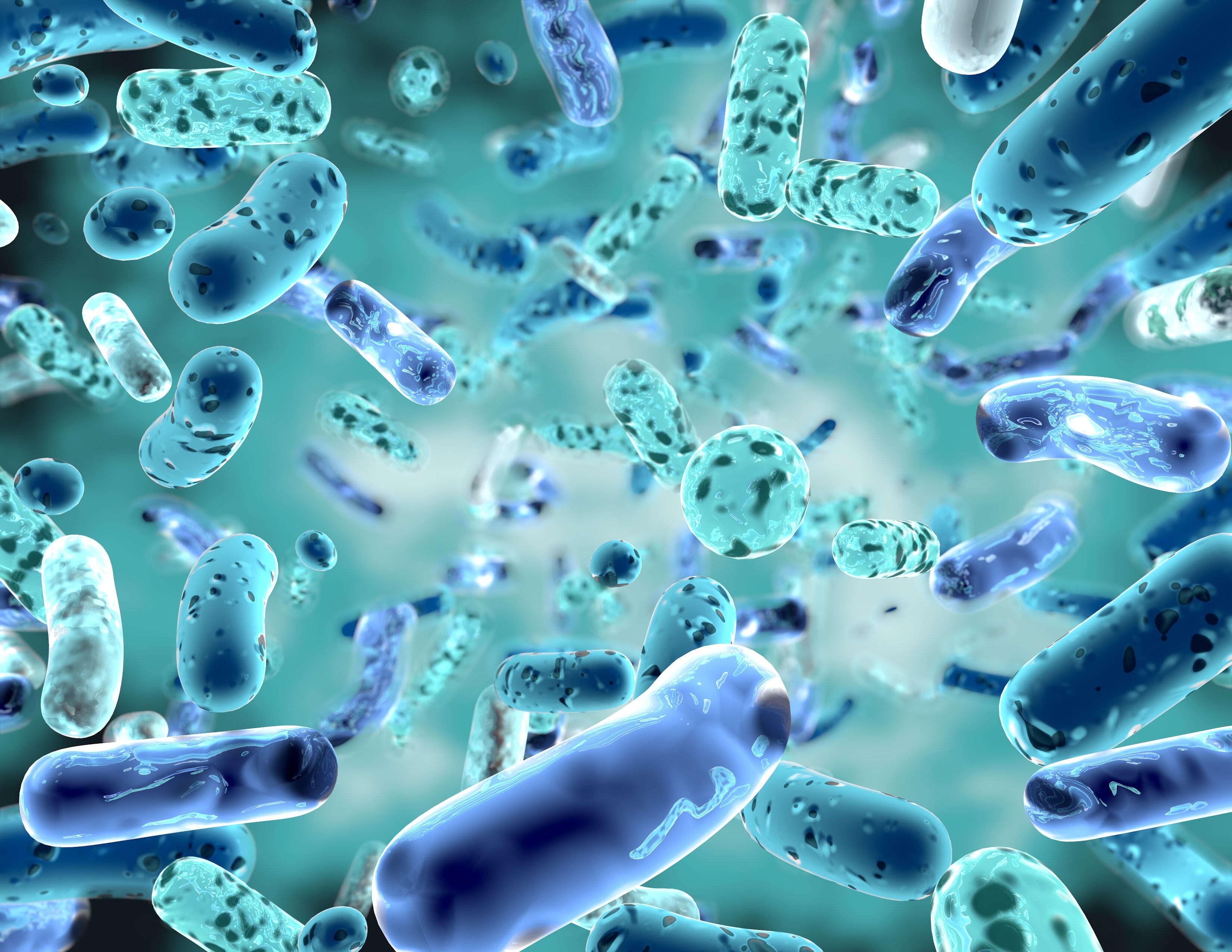 Protein intake doesn’t impact microbial diversity, new research argues