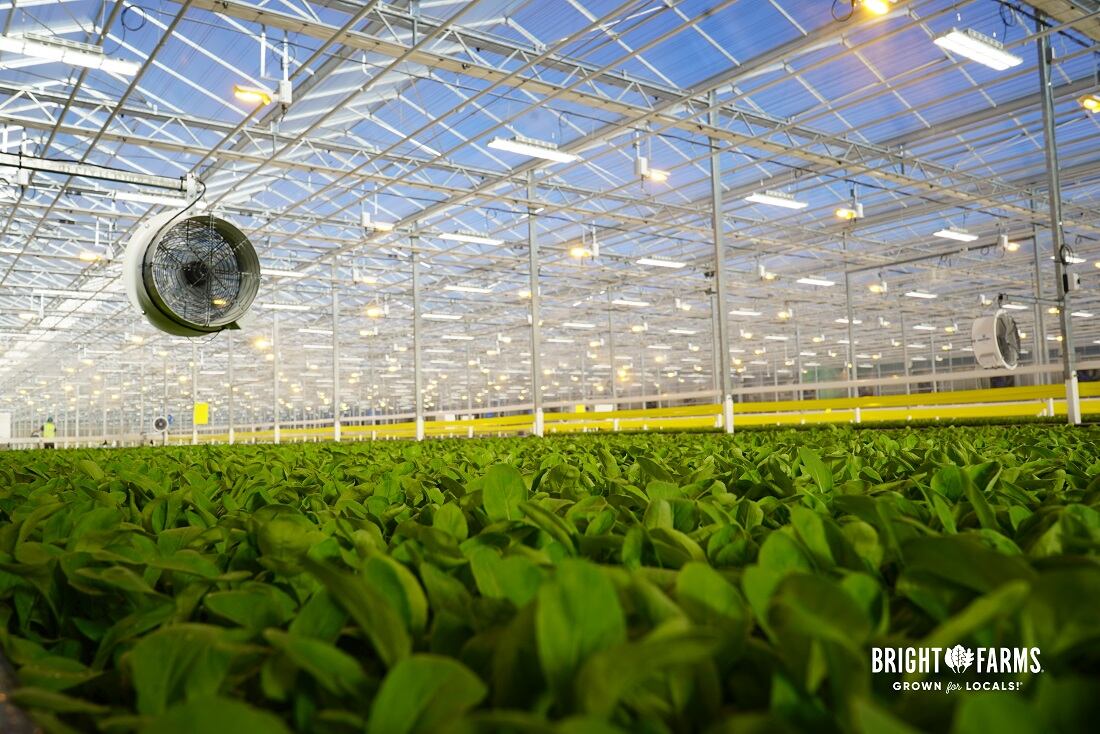 BrightFarms opens fifth indoor leafy green facility in North Carolina