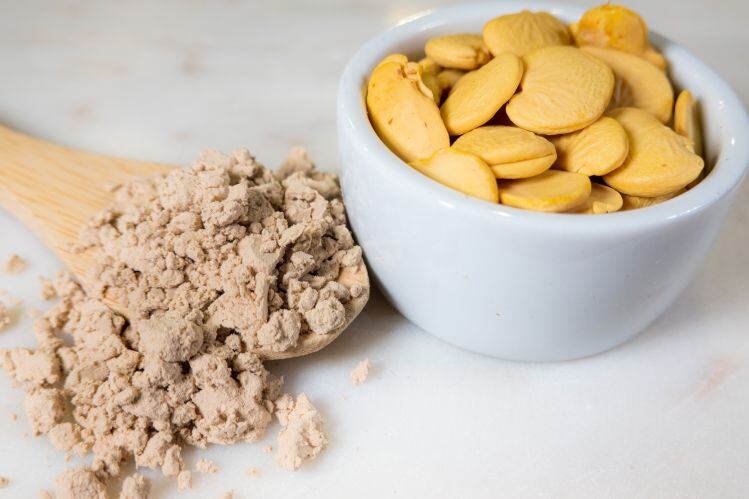 Plant-based-Terviva-raises-54m-collaborates-with-Danone-on-foods-using-oils-proteins-from-Pongamia-trees.jpg