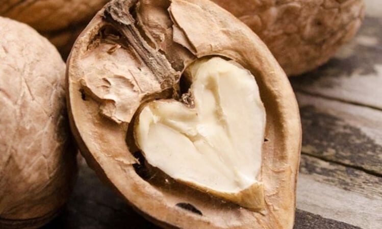close-up-California-Walnuts.jpg