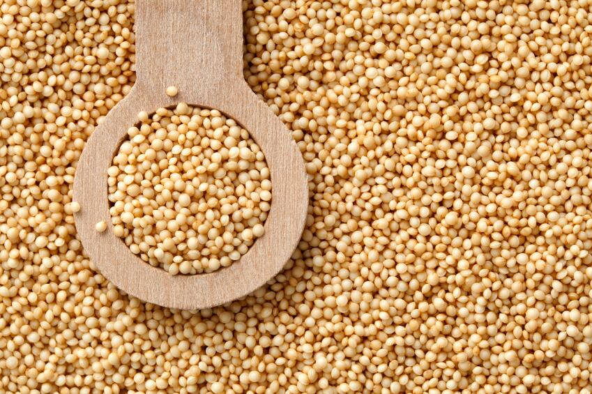 Amaranth.jpg