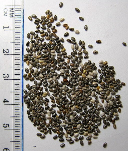 Chia.jpg