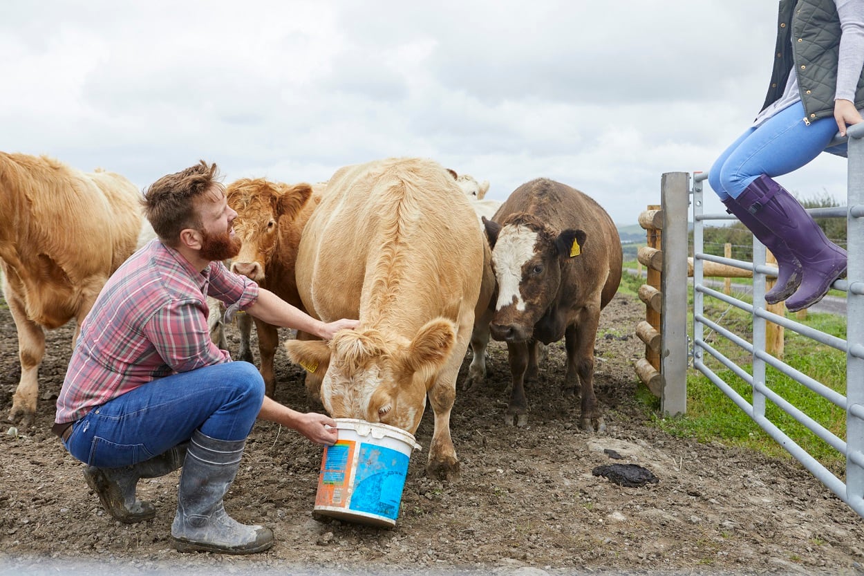 Cargill: ‘Generation Yum’ seeks closer connection to agriculture