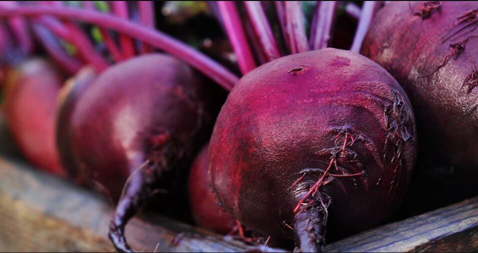 Florida-Food-Products-fermented-vegetable-juices-offer-clean-label-natural-flavor-color-alternative.jpg