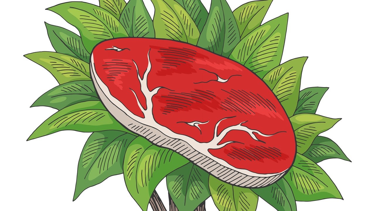 ‘2020 was a breakout year for plant-based foods…’ GFI, PBFA, SPINS, unveil 2020 retail sales data
