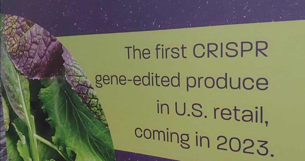Pairwise readies CRISPR-edited Conscious Greens for sale in West Coast grocery stores
