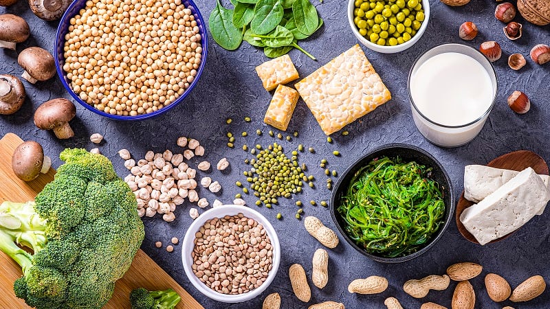 The Future of Protein Production Chicago takes ‘temperature’ of alt protein investments, regulations