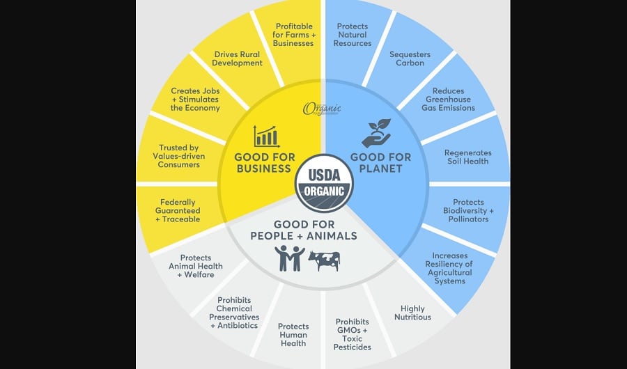 OTA embraces ‘magical’ co-CEO model to ‘take advantage of all the opportunities available to organic’