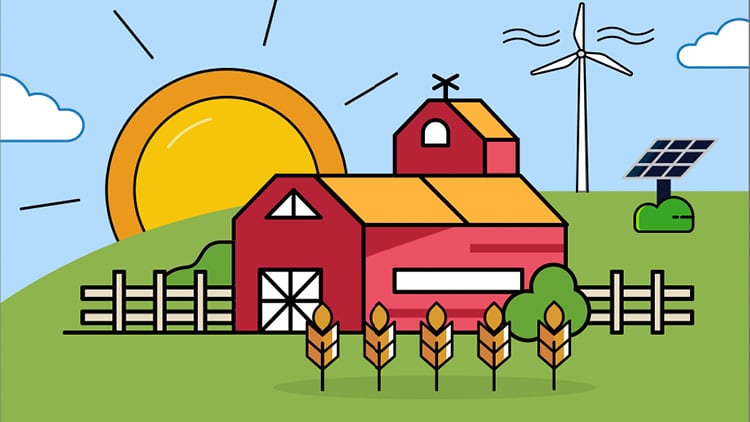 A Guide to Lowering Your Carbon Footprint on Flour Sourcing