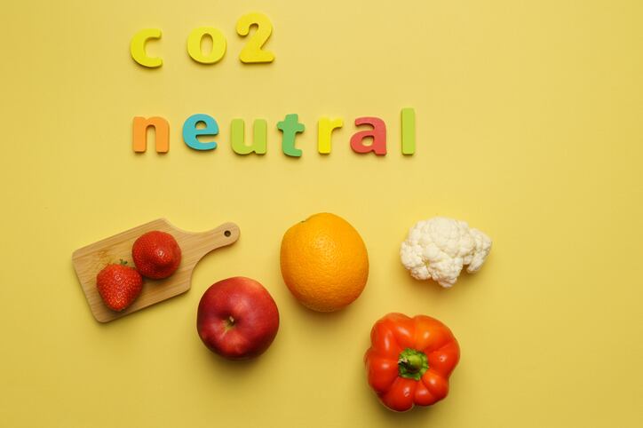 ‘Companies need to re-assess the way they communicate about their purchase of carbon credits’: EU agrees ban on ‘climate neutral’ claims by 2026