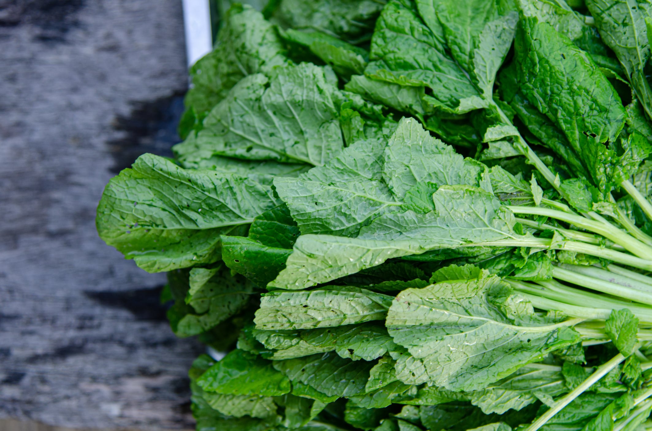 Bundle of mustard greens