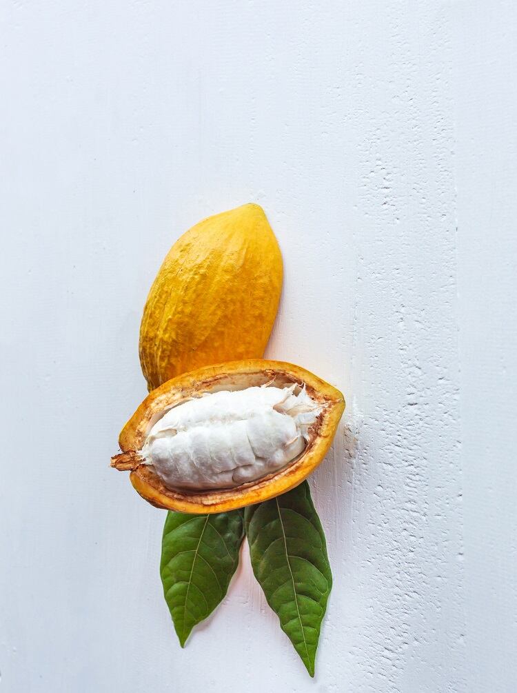 cocoa-Narong-KHUEANKAEW-2.jpg