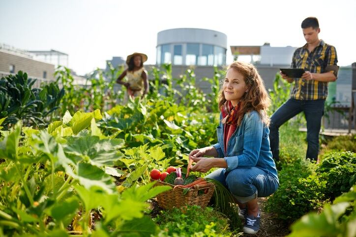 Stakeholders across sectors must rebuild trust before they can create a sustainable food system