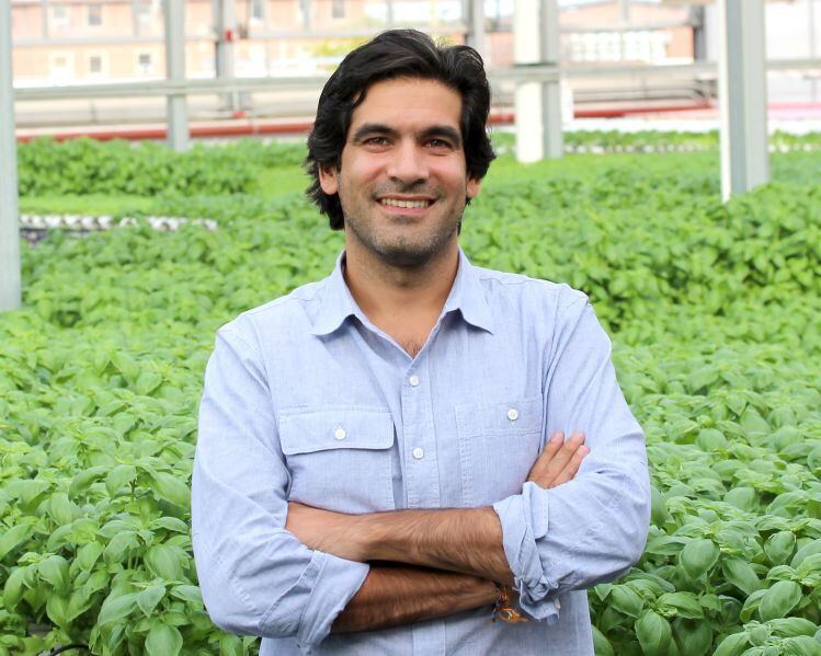 Gotham Greens raises $310m in series E: ‘Our greenhouses are profitable… We’ve demonstrated we can be really efficient stewards of our investors’ capital’