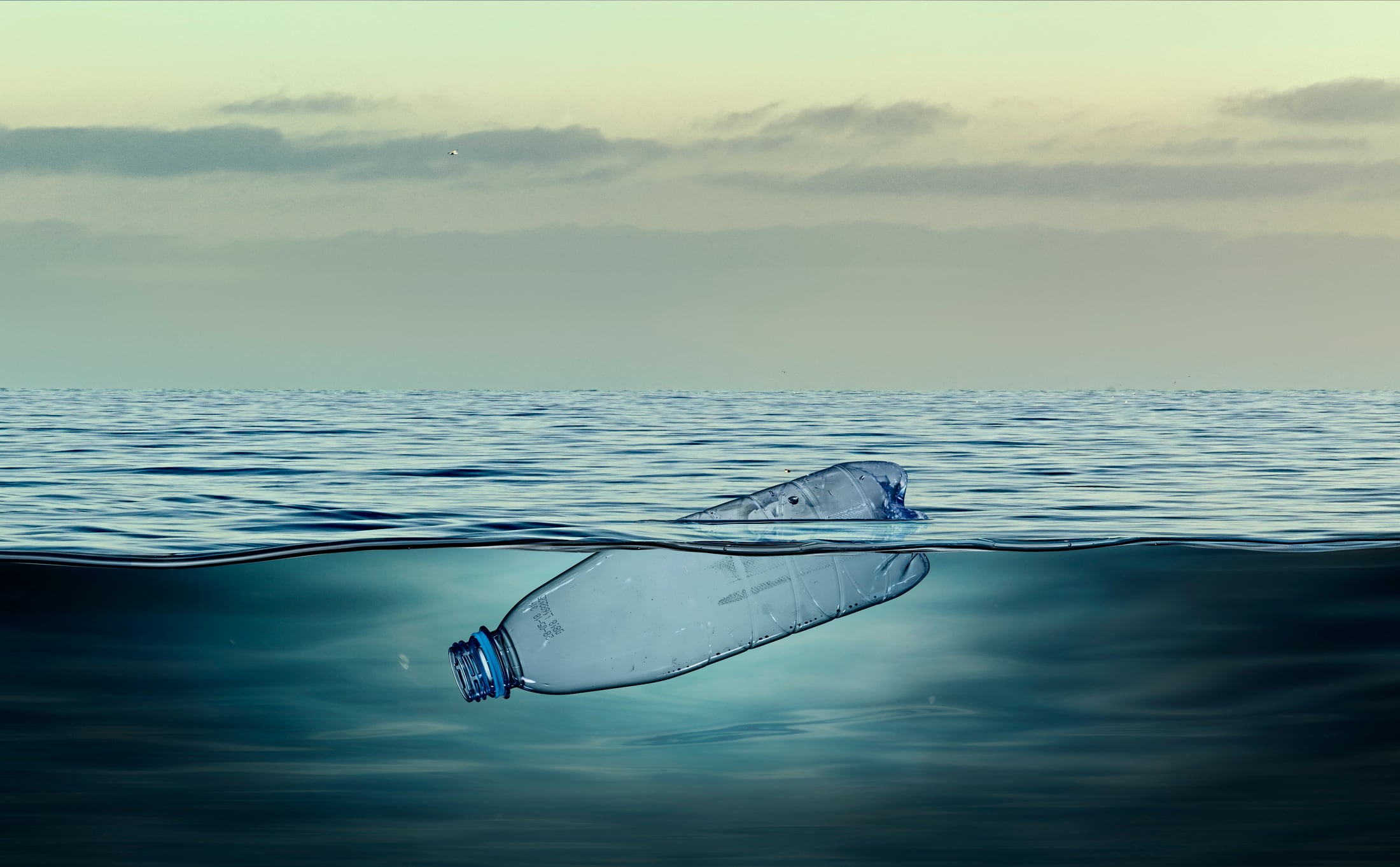 Closing the loop on packaging