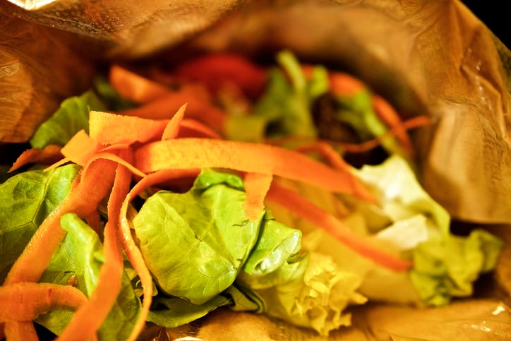 Converting food waste to protein… first-time research reveals the benefits and burdens   