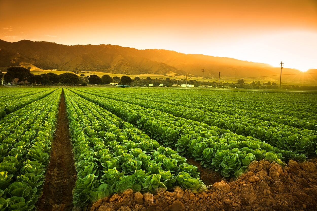 FDA readies for Produce Safety Rule for US farms, offers compliance resources