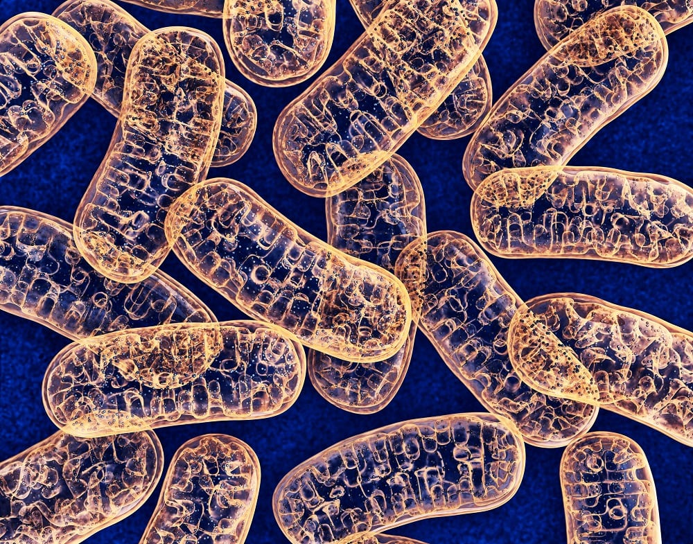 Mitochondria-C-Getty-Images-wir0man.jpg