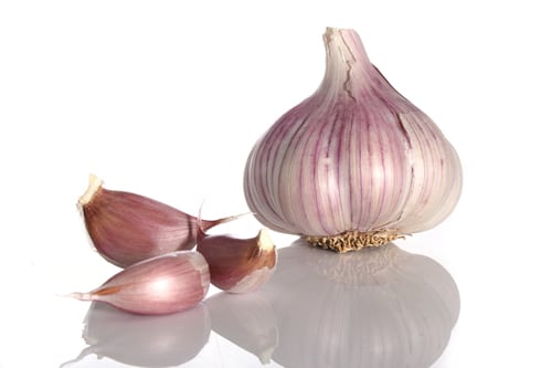 garlic-bsp.jpg