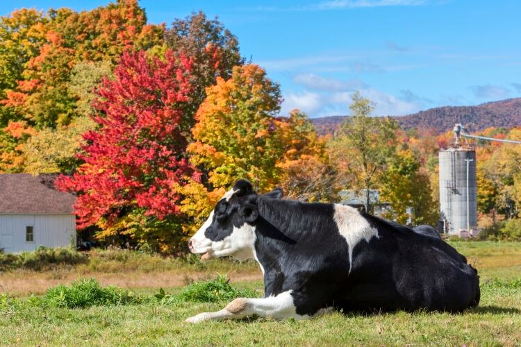 Delegation urges USDA to support organic dairy farmers affected by Danone pullout