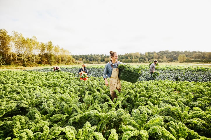 What is driving consumer interest in regenerative agriculture?