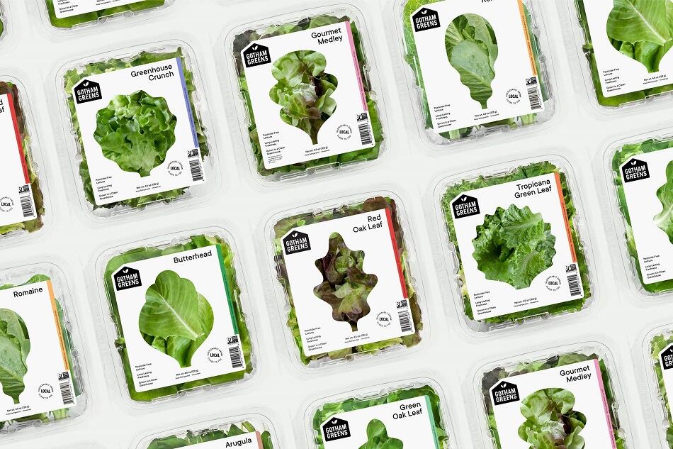 Gotham-Greens-opens-its-largest-greenhouse-in-Chicago.jpg