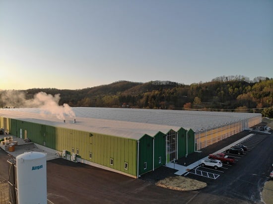 BrightFarms_Greenhouse_2.jpg