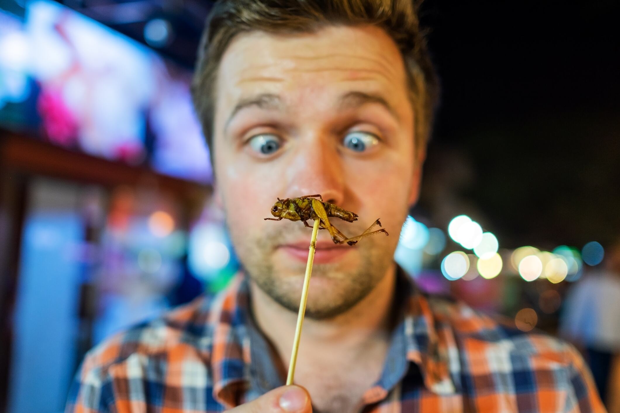 Regulatory ‘deadlock’ stalls edible insect progress