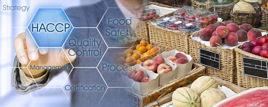 FDA’s human food program ‘urgently needs additional personnel, financial and IT resources’