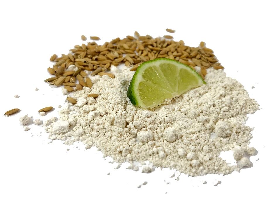 Paragon-Pure-unveils-clean-label-cost-effective-flavor-carrier-made-from-brown-rice-flour.jpg
