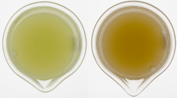 apple-comparison.jpg