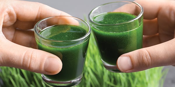 Green-drink-shots-photo-600x300.jpg