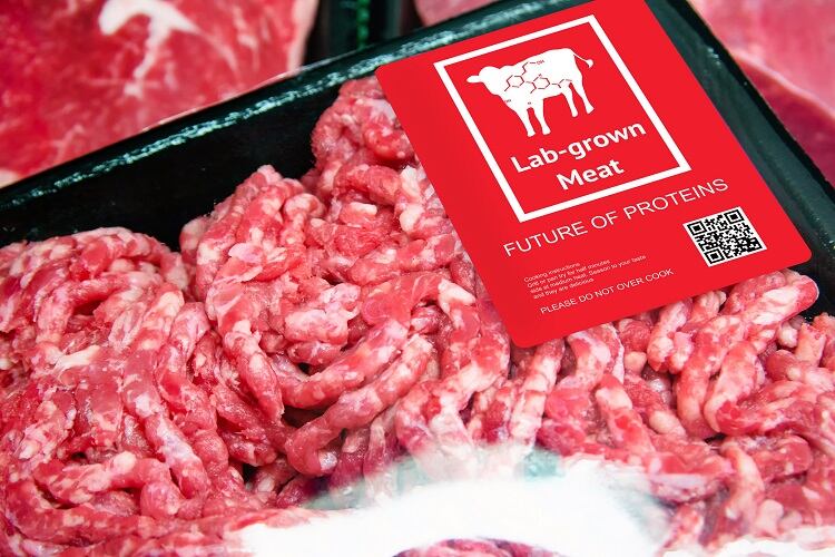 cell-based-meat-JIRAROJ-PRADITCHAROENKUL.jpg