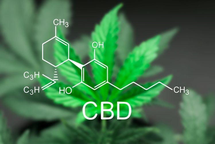 CBD-GettyImages-Dmitry_Tishchenko.jpg