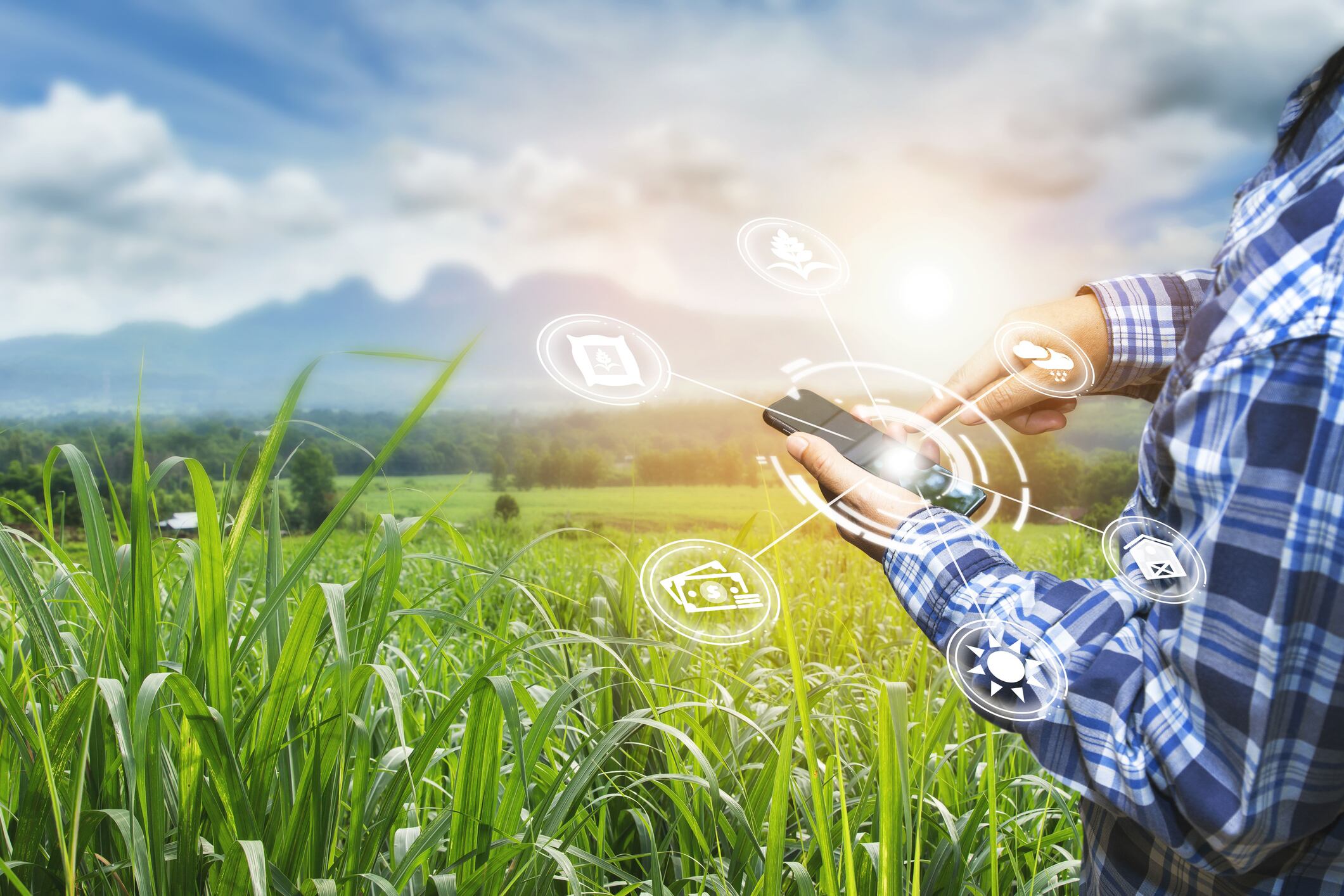 Nutrition-and-Agtech-investments-in-Brazil-focus-on-alternative-proteins.jpg