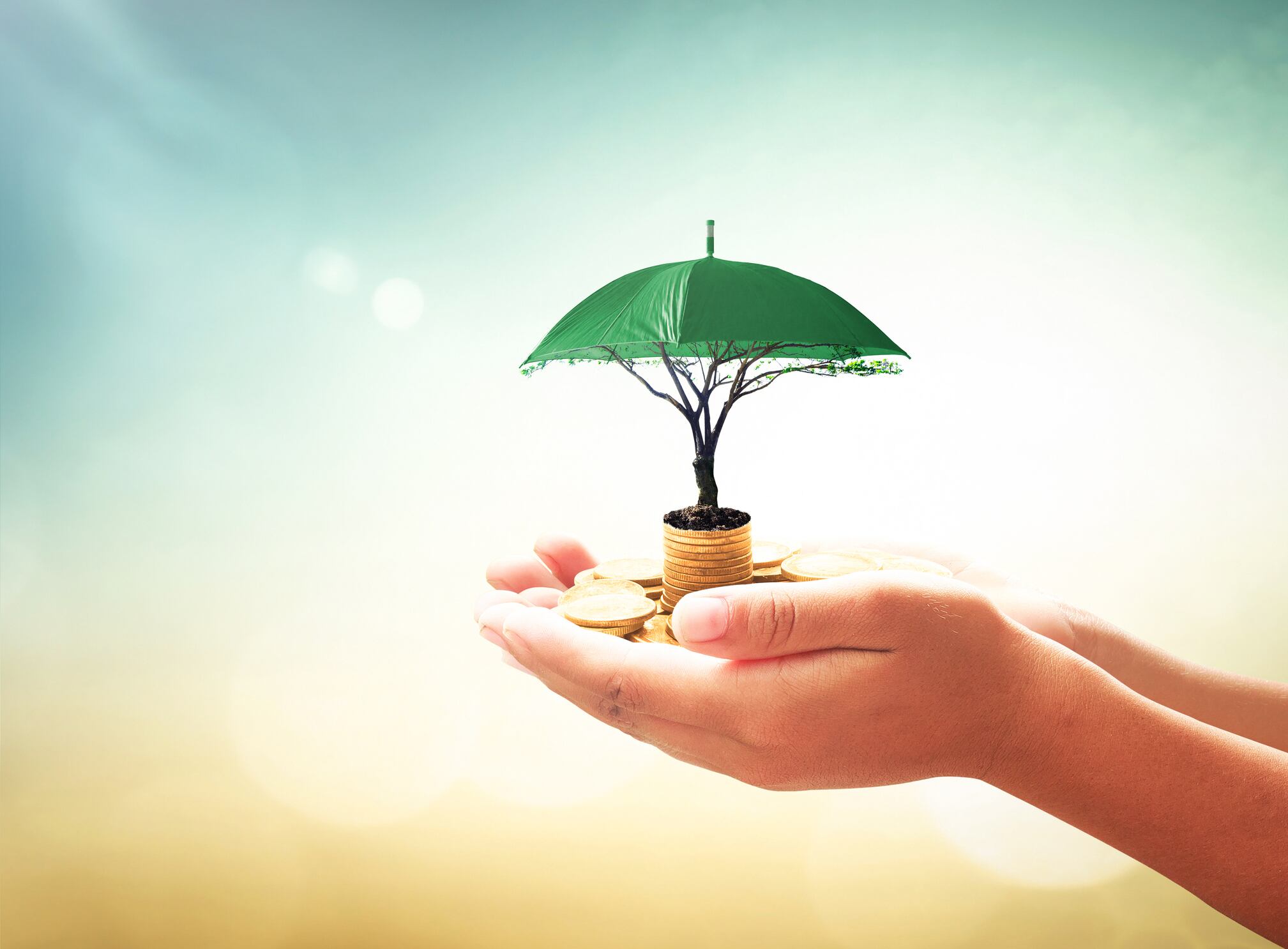 Developing achievable ESG strategies "for the betterment of the planet"