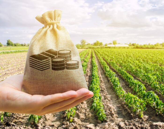 GettyImages-Andrii-Yalanskyi-farmer-income-farming-money.png