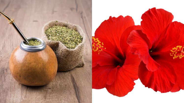 botanicals.jpg