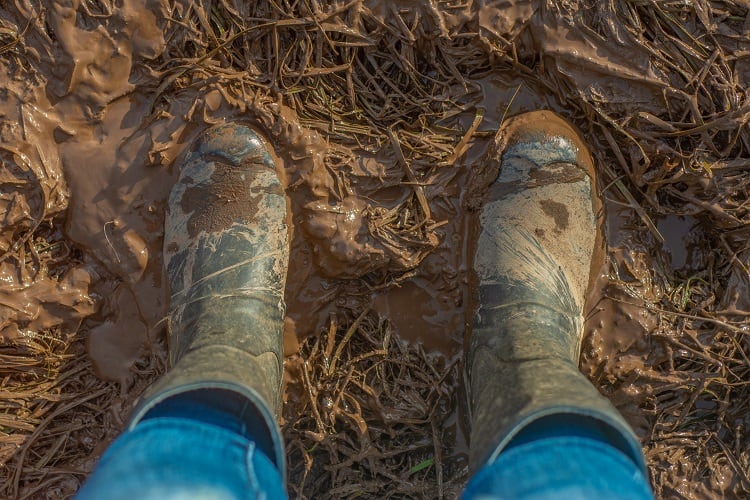 What is 'sogflation' and how is it threatening food supply chains?