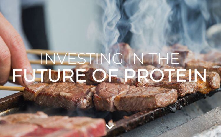 Lever-VC-launches-new-fund-targeting-alternative-protein-deploys-first-5m-in-10-startups-spanning-plant-based-eggs-to-cell-cultured-breastmilk.jpg