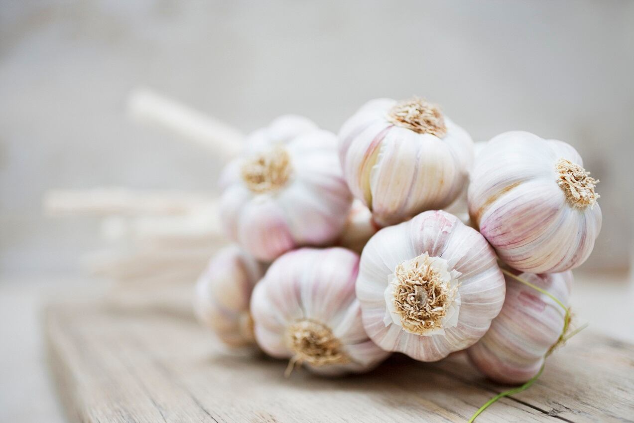 Brightseed-Olam-partner-to-unlock-novel-bioactives-in-pepper-garlic.jpg