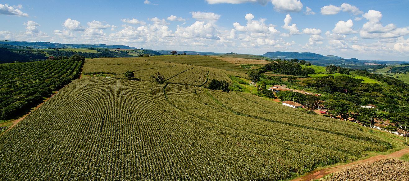 Regenerative-agriculture-on-large-scale-is-profitable-in-Brazil.jpg