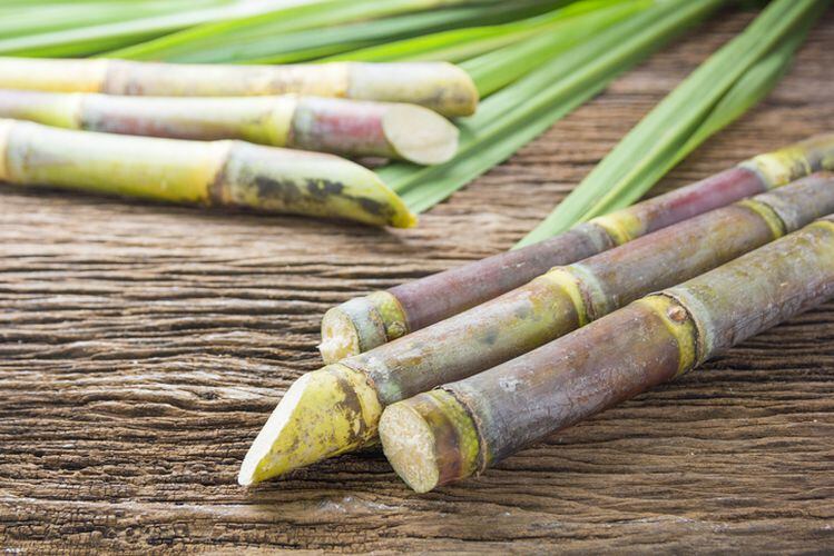 Amyris bids for 30% slice of stevia market by 2022 with new Reb M sweetener: ‘On a quality basis, it’s a superior product. It simply tastes better’