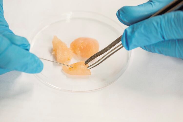 Good Food Institute launches $3m research grant