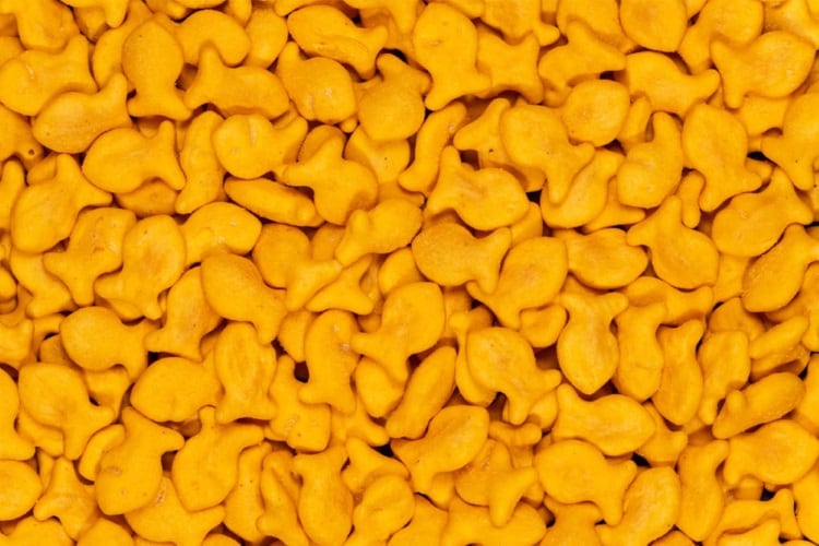 Goldfish-crackers.jpg