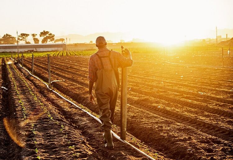 How do we measure the success of regenerative agriculture?