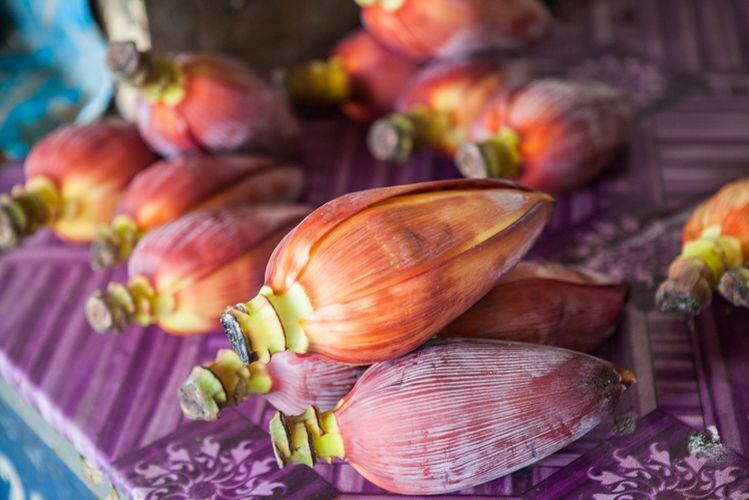 Banana-blossom-GettyImages-lenawurm.jpg